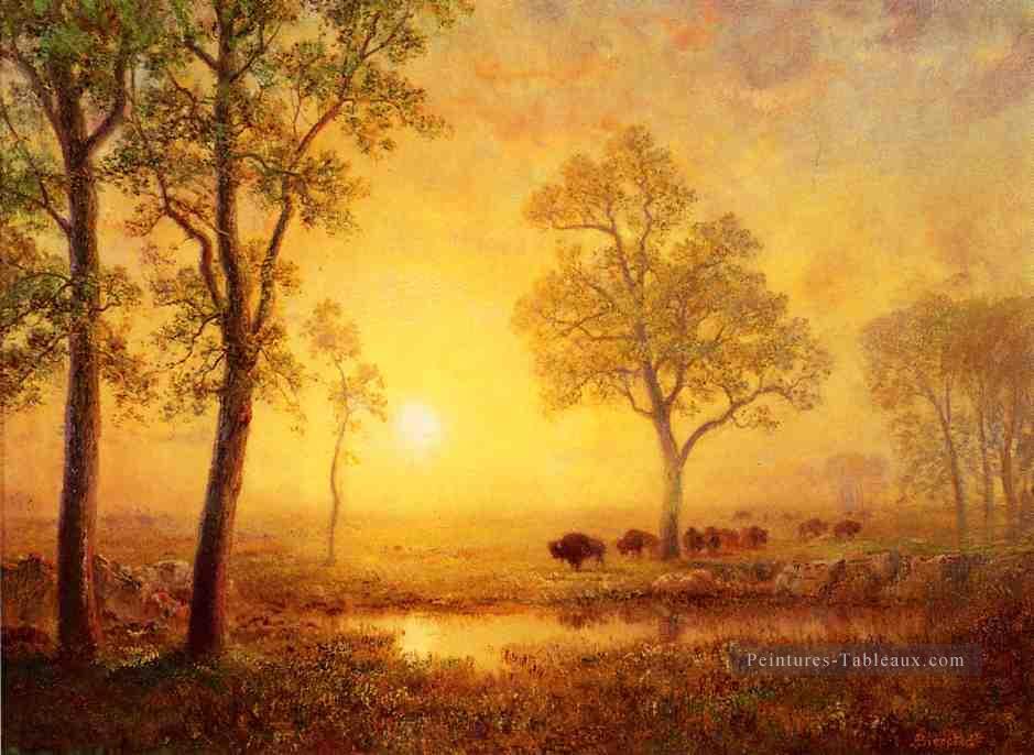 Coucher de soleil sur le paysage de la Montagne Albert Bierstadt Peintures à l'huile